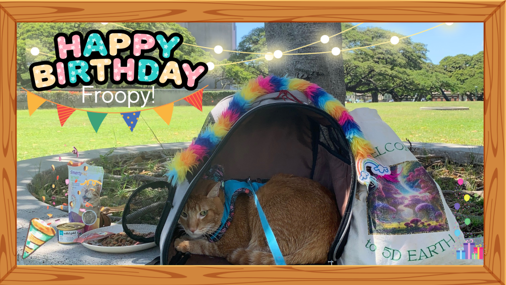 What’s your fave weather?&nbsp;🪷