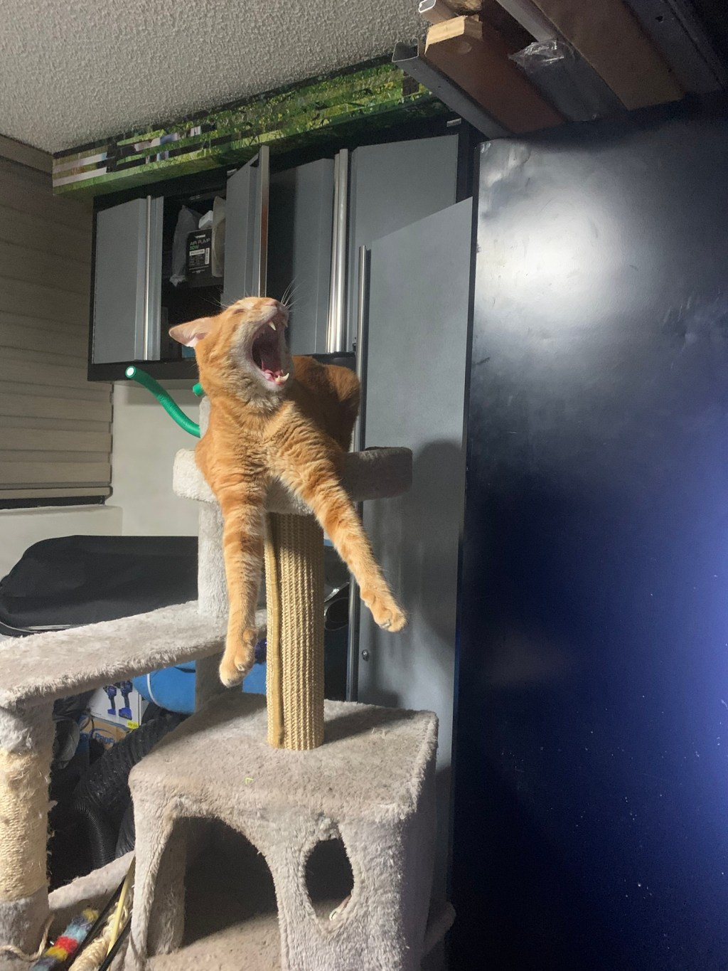 What makes you&nbsp;laugh?