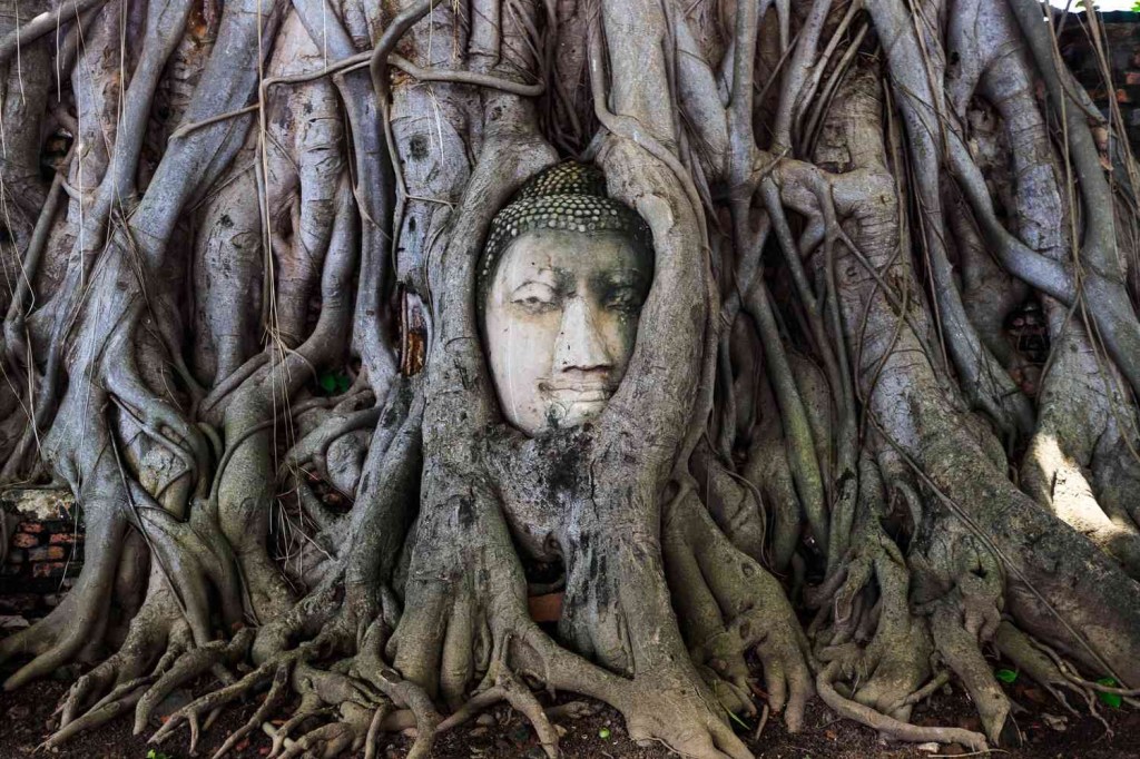 What fears have you overcome and&nbsp;how?