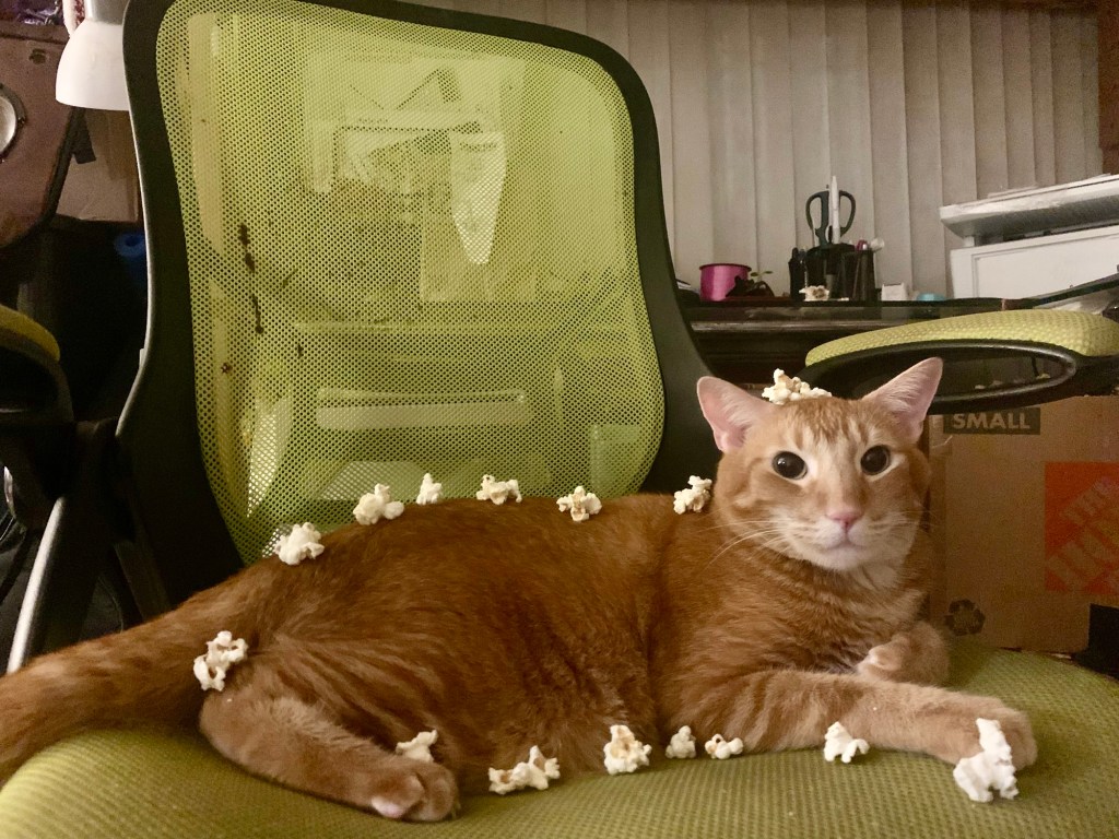 What time do you go to bed and wake up&nbsp;currently?